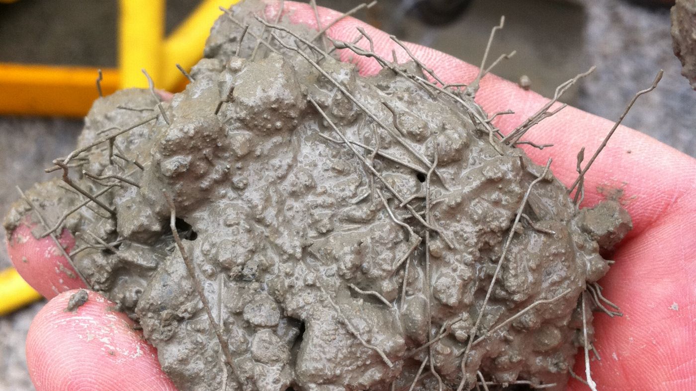 SteelFibers_CloseUp_big